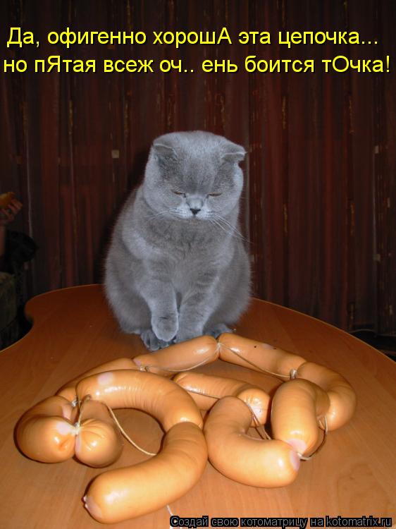 Котоматрица: Да, офигенно хорошА эта цепочка... но пЯтая всеж оч.. ень боится тОчка!