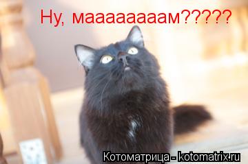 Котоматрица: Ну, маааааааам?????