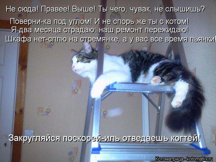 Котоматрица: Не сюда! Правее! Выше! Ты чего, чувак, не слышишь? Поверни-ка под углом! И не спорь же ты с котом! Я два месяца страдаю: наш ремонт пережидаю! Шка