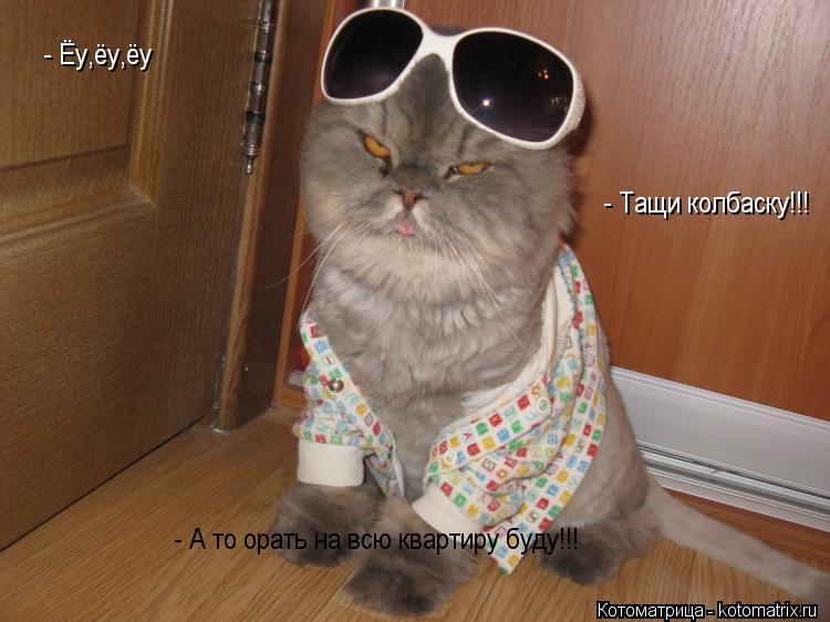 Котоматрица: - Ёу,ёу,ёу - Тащи колбаску!!! - А то орать на всю квартиру буду!!!