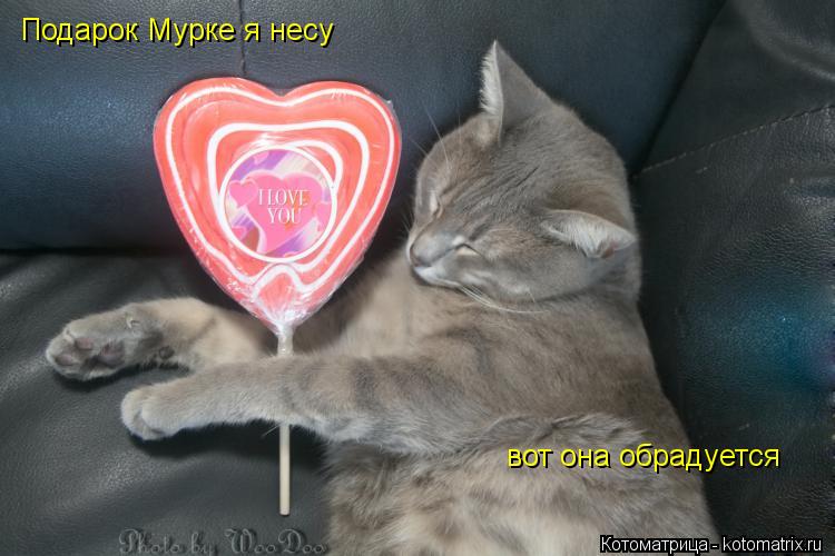 Котоматрица: Подарок Мурке я несу вот она обрадуется