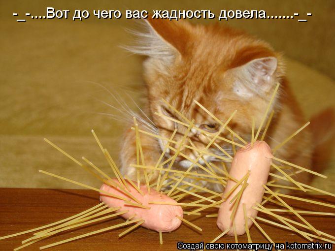 Котоматрица: -_-....Вот до чего вас жадность довела.......-_-