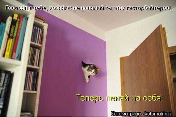 Котоматрица: Говорил я тебе, хозяйка: не нанимай ты этих гасторбайтеров! Теперь пеняй на себя!