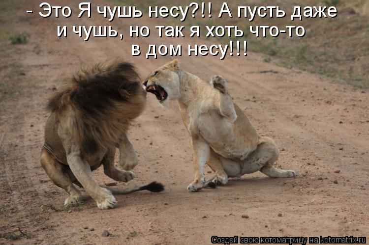 - Это Я чушь несу?!! А пусть даже и чушь, но так я хоть что-то в дом несу!!!... Котоматрица: - Это Я чушь несу?!! А пусть даже и чушь, но так я хоть что-то в дом несу!!!