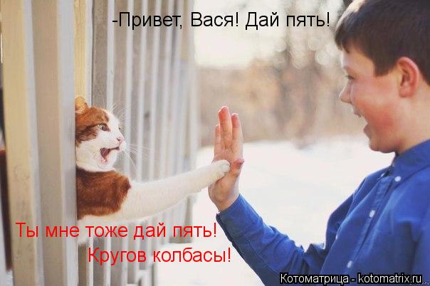 Котоматрица: -Привет, Вася! Дай пять! Ты мне тоже дай пять! Кругов колбасы!