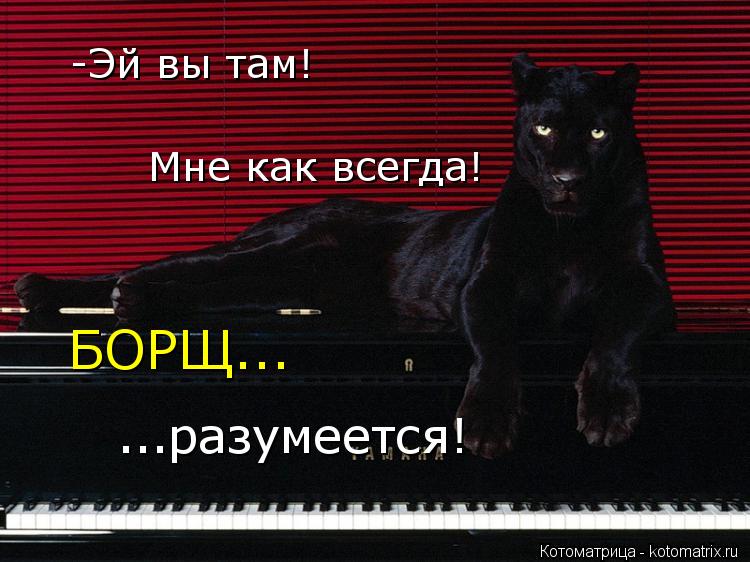 Котоматрица: -Эй вы там! БОРЩ... ...разумеется! Мне как всегда!
