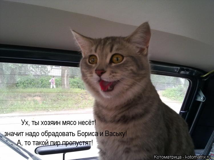значит надо обрадовать Бориса и Ваську! Ух, ты хозяин мясо несёт! А, то такой пир пропустят!... Котоматрица: значит надо обрадовать Бориса и Ваську! Ух, ты хозяин мясо несёт! А, то такой пир пропустят!