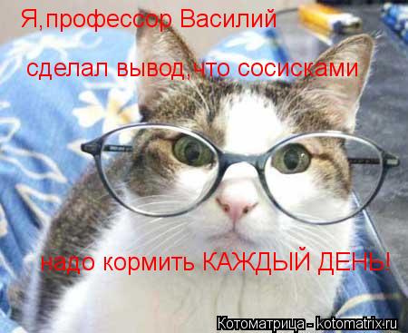 Котоматрица: Я,профессор Василий  сделал вывод,что сосисками  надо кормить КАЖДЫЙ ДЕНЬ!