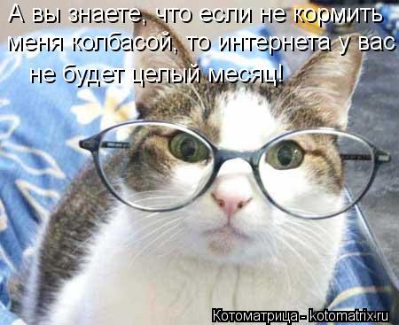 А вы знаете, что если не кормить меня колбасой, то интернета у вас не будет целый месяц!... Котоматрица: А вы знаете, что если не кормить меня колбасой, то интернета у вас не будет целый месяц!