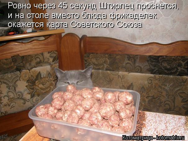 Котоматрица: Ровно через 45 секунд Штирлец проснется, и на столе вместо блюда фрикаделек  окажется карта Советского Союза