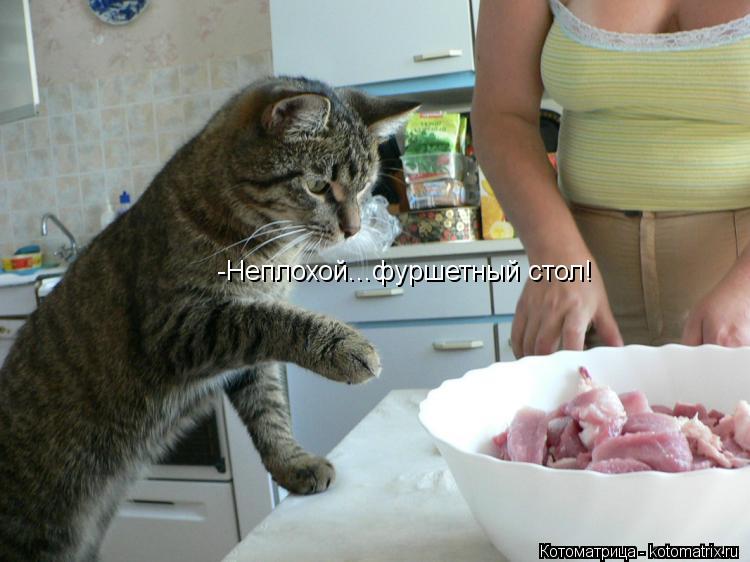 -Неплохой...фуршетный стол!... Котоматрица: -Неплохой...фуршетный стол!