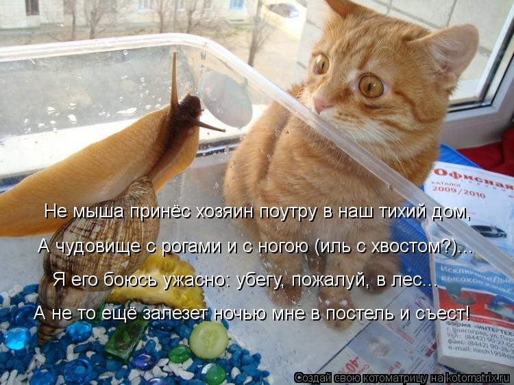 Котоматрица: Не мыша принёс хозяин поутру в наш тихий дом, А чудовище с рогами и с ногою (иль с хвостом?)... Я его боюсь ужасно: убегу, пожалуй, в лес... А не то 