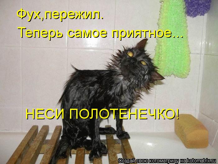 Котоматрица: Фух,пережил. Теперь самое приятное... НЕСИ ПОЛОТЕНЕЧКО!