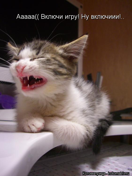 Котоматрица: Ааааа(( Включи игру! Ну включиии!..