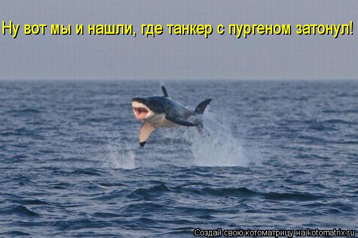 Котоматрица: Ну вот мы и нашли, где танкер с пургеном затонул!