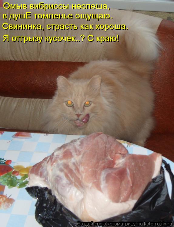 Котоматрица: Омыв вибриссы неспеша,   в душЕ томленье ощущаю.  Свининка, страсть как хороша.  Я отгрызу кусочек..? С краю!