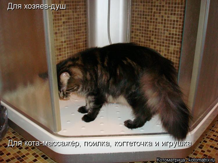 Котоматрица: Для хозяев-душ Для кота-массажёр, поилка, когтеточка и игрушка