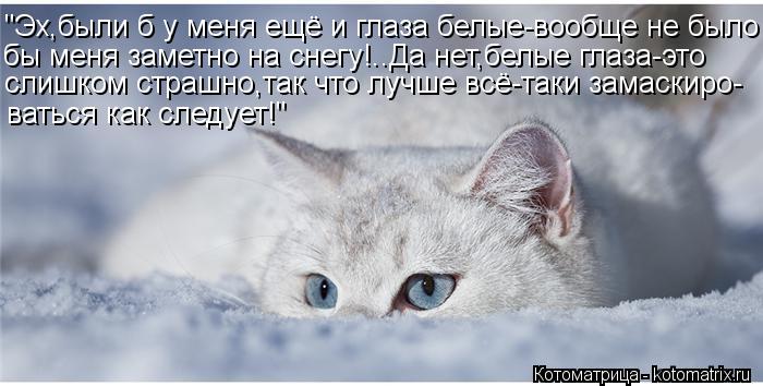 "Эх,были б у меня ещё и глаза белые-вообще не было бы меня заметно на снегу!..Да нет,белые глаза-это ... Котоматрица: "Эх,были б у меня ещё и глаза белые-вообще не было бы меня заметно на снегу!..Да нет,белые глаза-это слишком страшно,так что лучше всё-таки зам