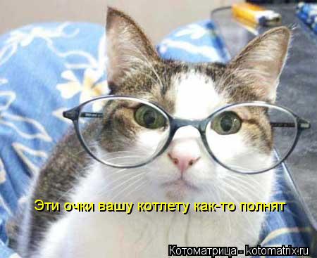 Котоматрица: Эти очки вашу котлету как-то полнят