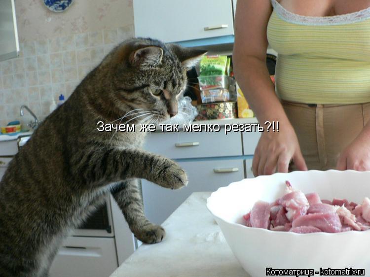 Зачем же так мелко резать?!!... Котоматрица: Зачем же так мелко резать?!!