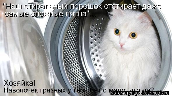 Котоматрица: "Наш стиральный порошок отстирает даже самые сложные пятна"... Хозяйка! Наволочек грязных у тебя было мало, что ли?