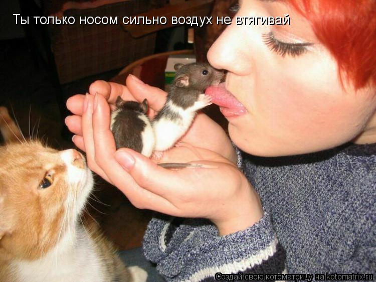 Котоматрица: Ты только носом сильно воздух не втягивай