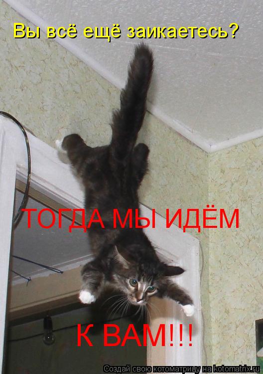 Котоматрица: Вы всё ещё заикаетесь? ТОГДА МЫ ИДЁМ К ВАМ!!!