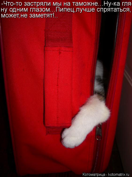 -Что-то застряли мы на таможне...Ну-ка гля- ну одним глазом...Пипец,лучше спрятаться, может,не заметя... Котоматрица: -Что-то застряли мы на таможне...Ну-ка гля- ну одним глазом...Пипец,лучше спрятаться, может,не заметят!..