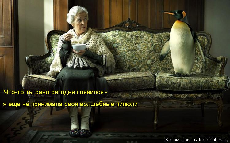 Котоматрица: Что-то ты рано сегодня появился -  я еще не принимала свои волшебные пилюли