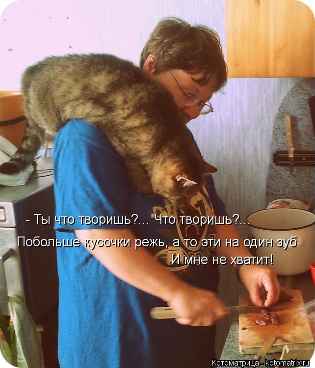 Котоматрица: - Ты что творишь?... Что творишь?...  Побольше кусочки режь, а то эти на один зуб И мне не хватит!