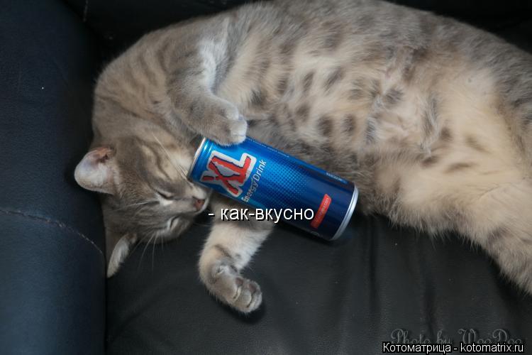 - как-вкусно... Котоматрица: - как-вкусно