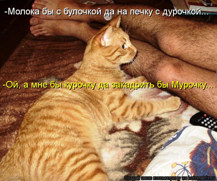 Котоматрица: -Молока бы с булочкой да на печку с дурочкой... -Ой, а мне бы курочку да закадрить бы Мурочку...