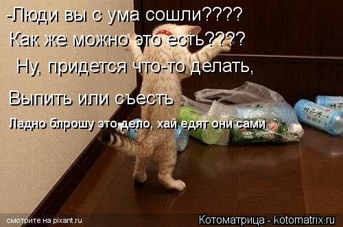 Котоматрица: -Люди вы с ума сошли???? Как же можно это есть???? Ну, придется что-то делать, Выпить или съесть Ладно блрошу это дело, хай едят они сами