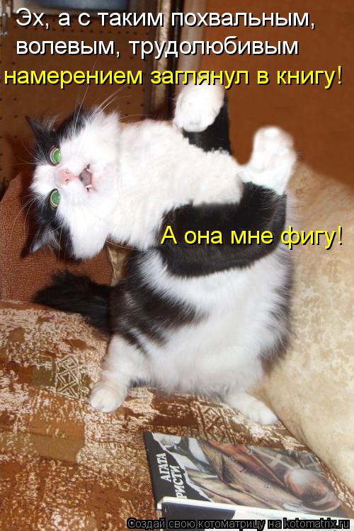 Котоматрица: Эх, а с таким похвальным, волевым, трудолюбивым  намерением заглянул в книгу! А она мне фигу!
