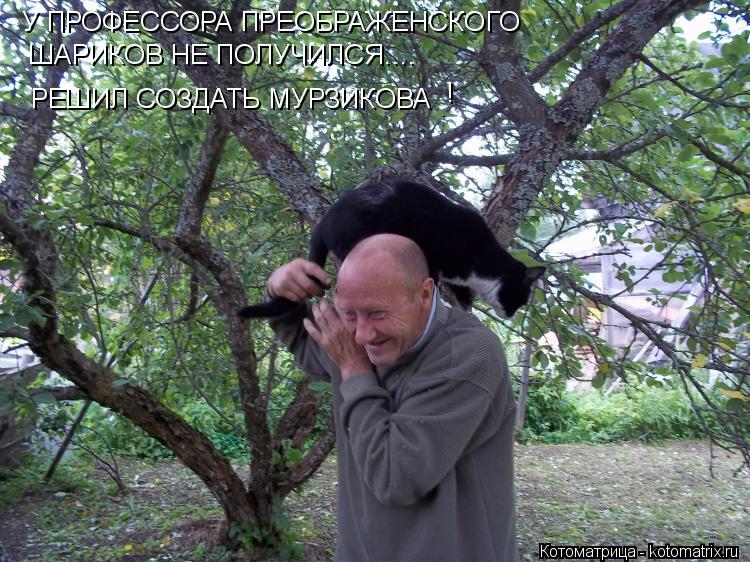 Котоматрица: У ПРОФЕССОРА ПРЕОБРАЖЕНСКОГО  ШАРИКОВ НЕ ПОЛУЧИЛСЯ.... РЕШИЛ СОЗДАТЬ МУРЗИКОВА !