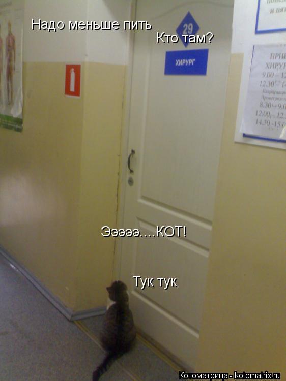 Котоматрица: Тук тук Кто там? Эээээ....КОТ! Надо меньше пить