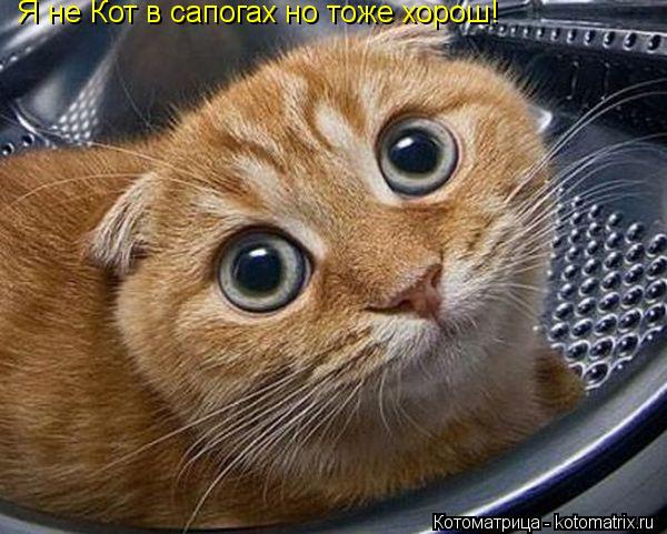 Котоматрица: Я не Кот в сапогах но тоже хорош!