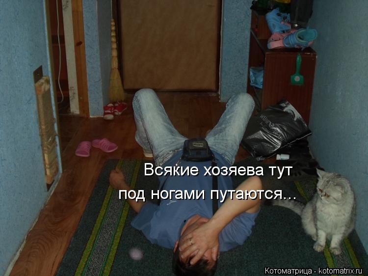 Котоматрица: Всякие хозяева тут  под ногами путаются...