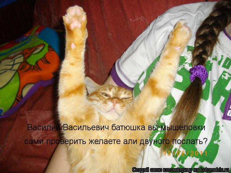 Котоматрица: Василий Васильевич батюшка вы мышеловки сами проверить желаете али двуного послать?