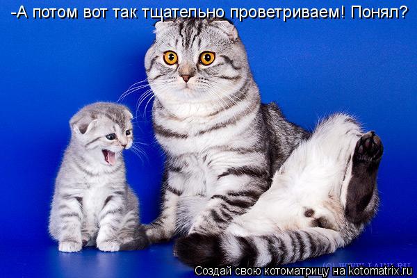 Котоматрица: -А потом вот так тщательно проветриваем! Понял?