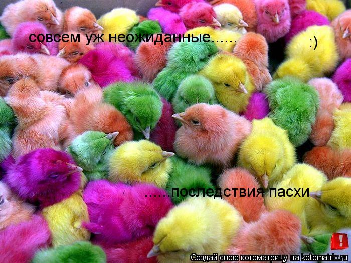 совсем уж неожиданные...... ......последствия пасхи :)... Котоматрица: совсем уж неожиданные...... ......последствия пасхи :)