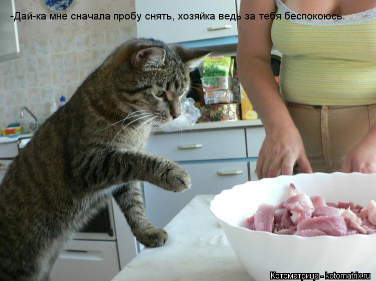 -Дай-ка мне сначала пробу снять, хозяйка ведь за тебя беспокоюсь.... Котоматрица: -Дай-ка мне сначала пробу снять, хозяйка ведь за тебя беспокоюсь.