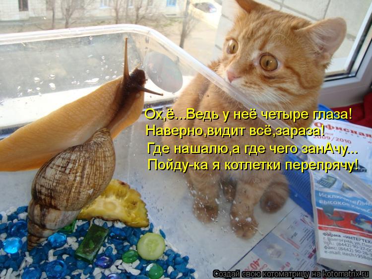 Ох,ё...Ведь у неё четыре глаза! Наверно,видит всё,зараза! Пойду-ка я котлетки перепрячу! Где нашалю,а... Котоматрица: Ох,ё...Ведь у неё четыре глаза! Наверно,видит всё,зараза! Пойду-ка я котлетки перепрячу! Где нашалю,а где чего занАчу...