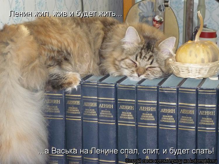 Котоматрица: Ленин жил, жив и будет жить... ...а Васька на Ленине спал, спит, и будет спать!