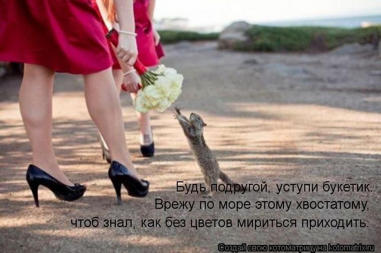 Будь подругой, уступи букетик. Врежу по море этому хвостатому, чтоб знал, как без цветов мириться при... Котоматрица: Будь подругой, уступи букетик. Врежу по море этому хвостатому, чтоб знал, как без цветов мириться приходить.