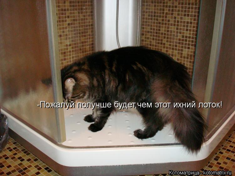 Котоматрица: -Пожалуй получше будет,чем этот ихний лоток!