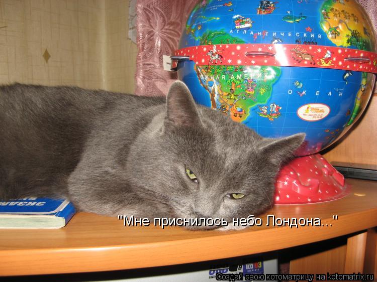 "Мне приснилось небо Лондона..."... Котоматрица: "Мне приснилось небо Лондона..."