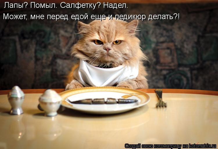 Котоматрица: Лапы? Помыл. Салфетку? Надел.  Может, мне перед едой еще и педикюр делать?!