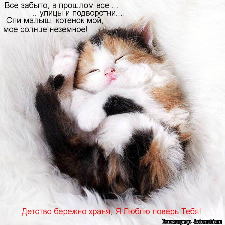 Котоматрица: Всё забыто, в прошлом всё.... ...улицы и подворотни.... Детство бережно храня, Я Люблю поверь Тебя! Спи малыш, котёнок мой, моё солнце неземное!