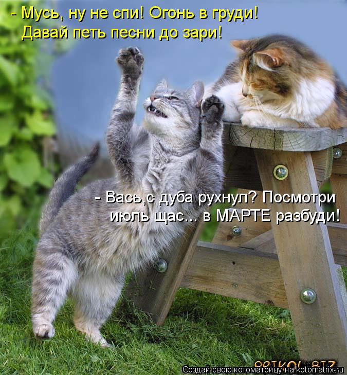 Котоматрица: - Мусь, ну не спи! Огонь в груди! Давай петь песни до зари! - Вась,с дуба рухнул? Посмотри июль щас... в МАРТЕ разбуди!